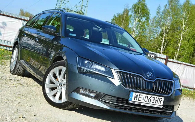 Skoda Superb cena 84900 przebieg: 178000, rok produkcji 2019 z Kutno małe 781